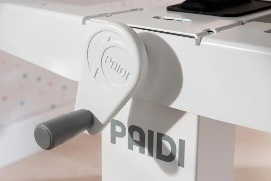 Kinder Paidi Kinder- & Jugendschreibtische|Kinder- & Jugendschreibtische|Schreibtisch Teenio 120