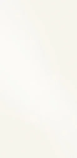 Staud Kleiderschränke|Schwebetürenschrank Includo-Glas 249 x 222 cm