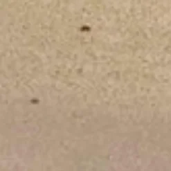 Discount Servierteller Kumi Ø 10 cm Platten|Servierplatten