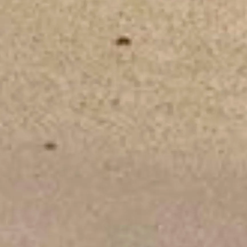 Discount Servierteller Kumi Ø 10 cm Platten|Servierplatten