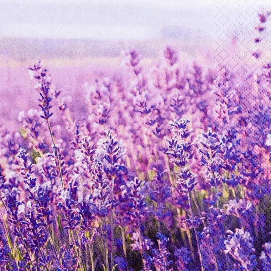 Tischwäsche|Tischwäsche|Serviette Field of Lavender 20tlg.