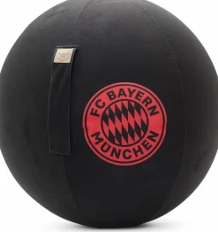 Sitting Point Sitzball FCB