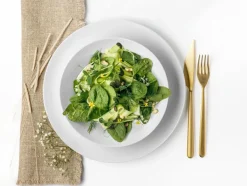 Seltmann Speiseteller Liberty Ø 27,9 cm