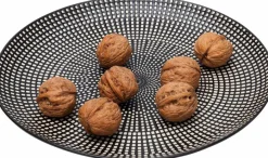 Outlet Speiseteller Tokyo Ø 26 cm Geschirr