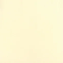 Kerzen & Kerzenhalter|Spitzkerze Getaucht 12tlg.