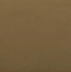 Clearance Stuhl Parsberg Stühle