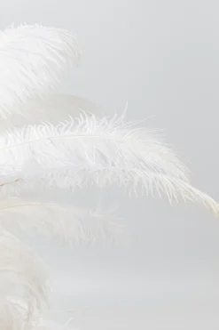 Clearance Tischleuchte Feather Palm Tischlampen