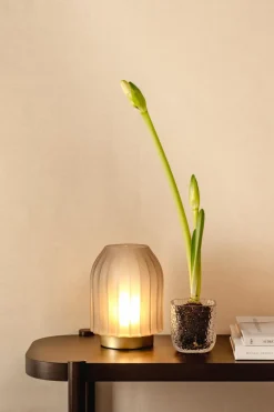 Leonardo Leuchtobjekte|Tischlampen|Tischleuchte LED 23,9 cm