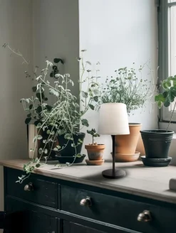 Eco-Light Tischleuchte Pegasus