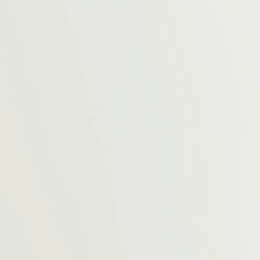 Rotho Treteimer Paso 20l