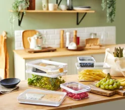 Rotho Vorratsdosen|Vorratsdose Cauma 1300 ml