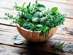 EUROART Wandbild 30 x 40 cm Fresh Herbs III