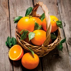 EUROART Wandbild 30 x 30 cm Fresh s IV