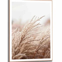 Reinders Bilder Mit Rahmen|Bilder Nach Themen|Wandbild 50 x 70 cm Gräser