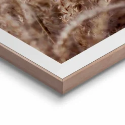 Reinders Bilder Mit Rahmen|Bilder Nach Themen|Wandbild 50 x 70 cm Gräser