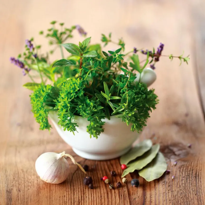 Discount Wandbild 30 x 30 cm Herbs II Bilder Nach Themen