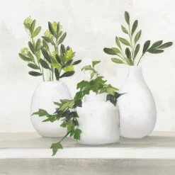 Wandbild 55 x 55 cm Plant Life II Bilder Ohne Rahmen