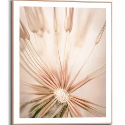 Reinders Bilder Mit Rahmen|Bilder Nach Themen|Wandbild 40 x 50 cm Pusteblume