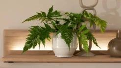 MCA Wandboard Alento