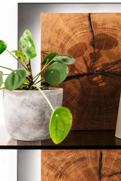 MCA Regale|Wandregal Assini