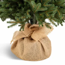 Hot Weihnachtsbaum Zwergfichte 120 cm Für Den Weihnachtsbaum