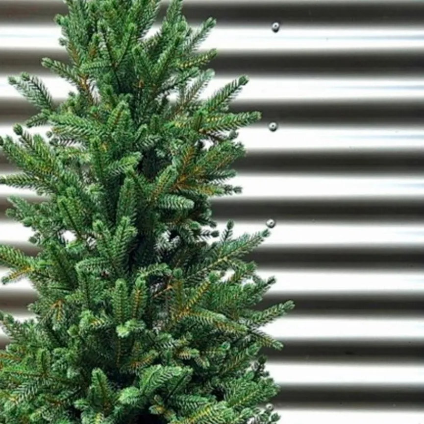Hot Weihnachtsbaum Zwergfichte 120 cm Für Den Weihnachtsbaum