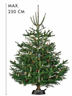 Hot Weihnachtsbaumständer Green Line Für Den Weihnachtsbaum