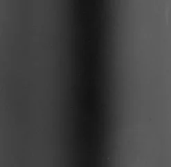 WENKO Zahnputzbecher Porto