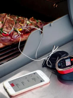 Zubehör IGrill Weber Grills & Grillzubehör