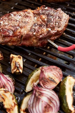 Zubehör IGrill Weber Grills & Grillzubehör