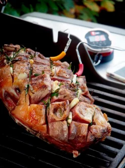 Zubehör IGrill Weber Grills & Grillzubehör